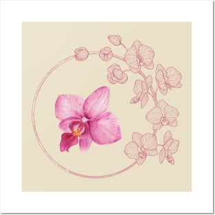 orchid Posters and Art